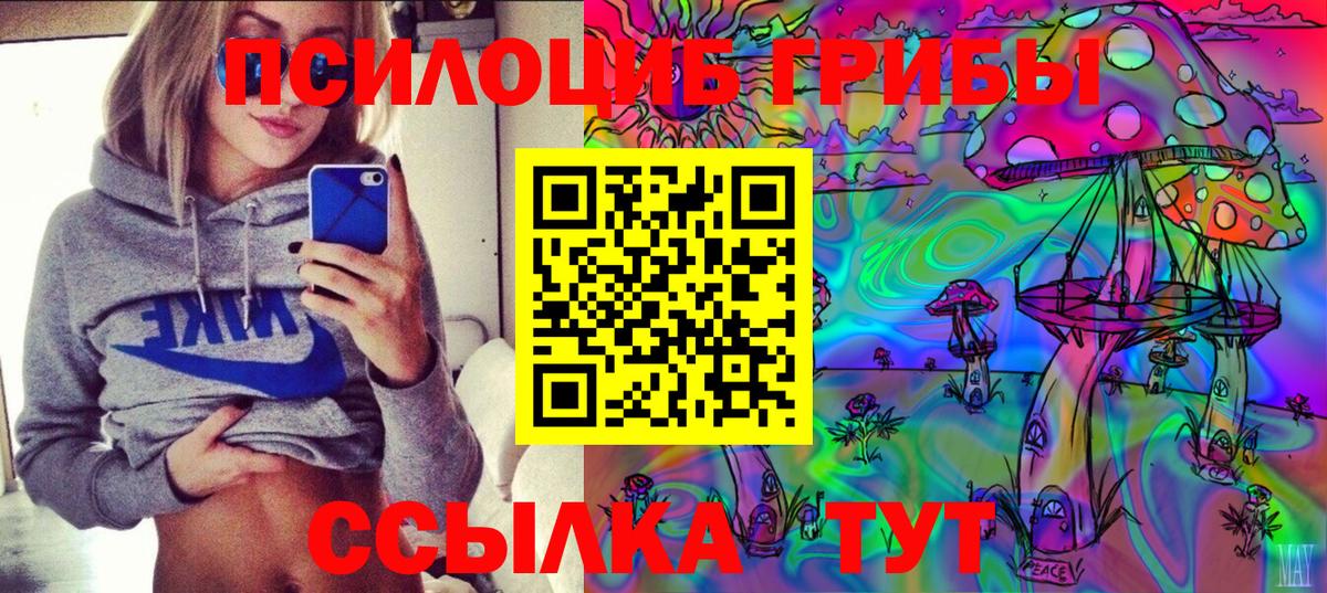 Псилоцибиновые грибы Psilocybine cubensis Боровичи