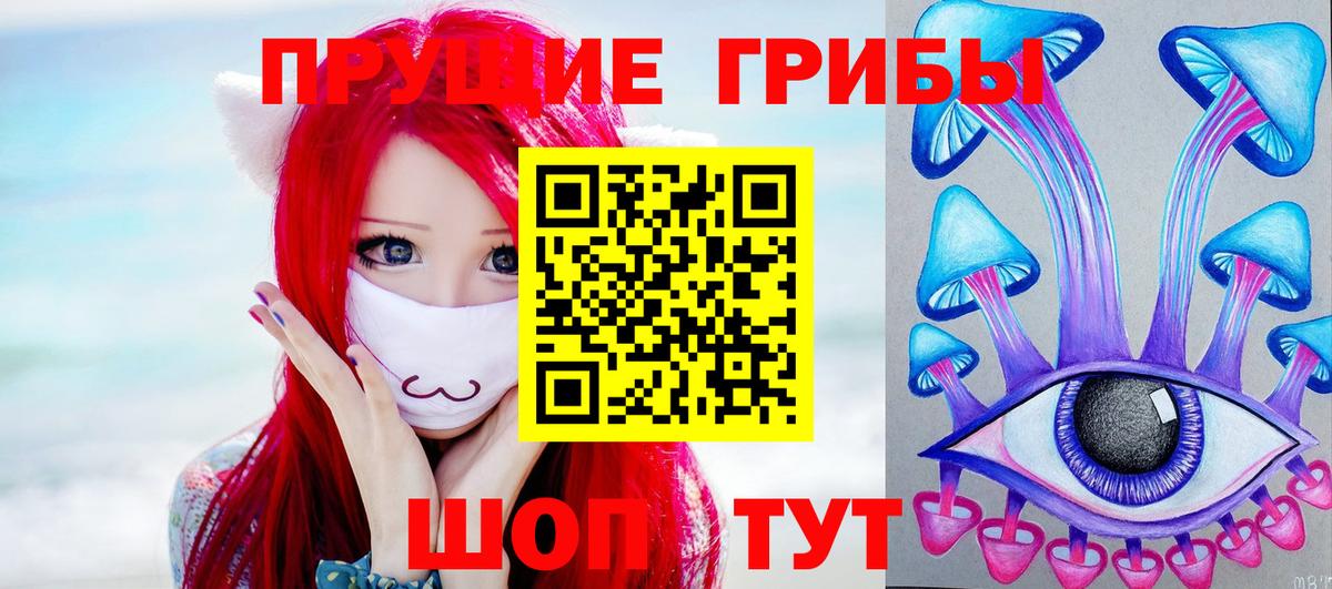Псилоцибиновые грибы Psilocybe  Вход с VPN  Псилоцибиновые грибы Psilocybine cubensis  Боровичи 